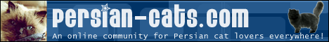 Feel free to use this banner on your site!
